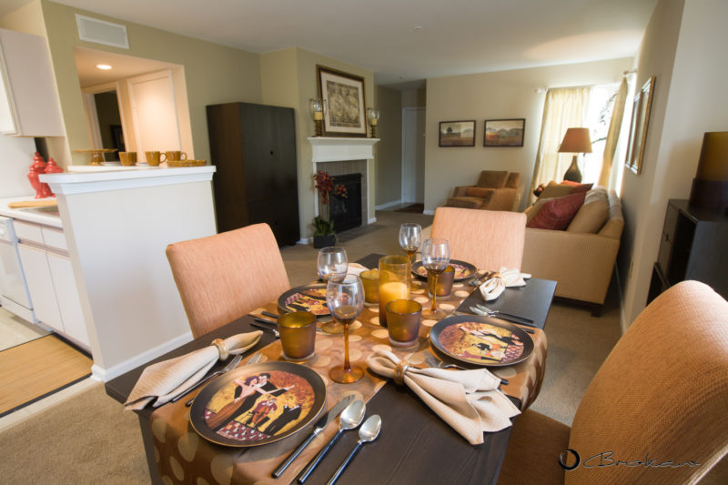 INTERIORS-APARTMENT DINING AREA
