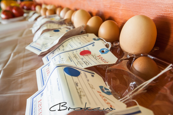 EGG COMPETITION