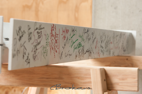 The Signed Beam